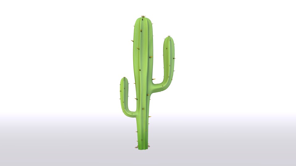 cactus preview image 1